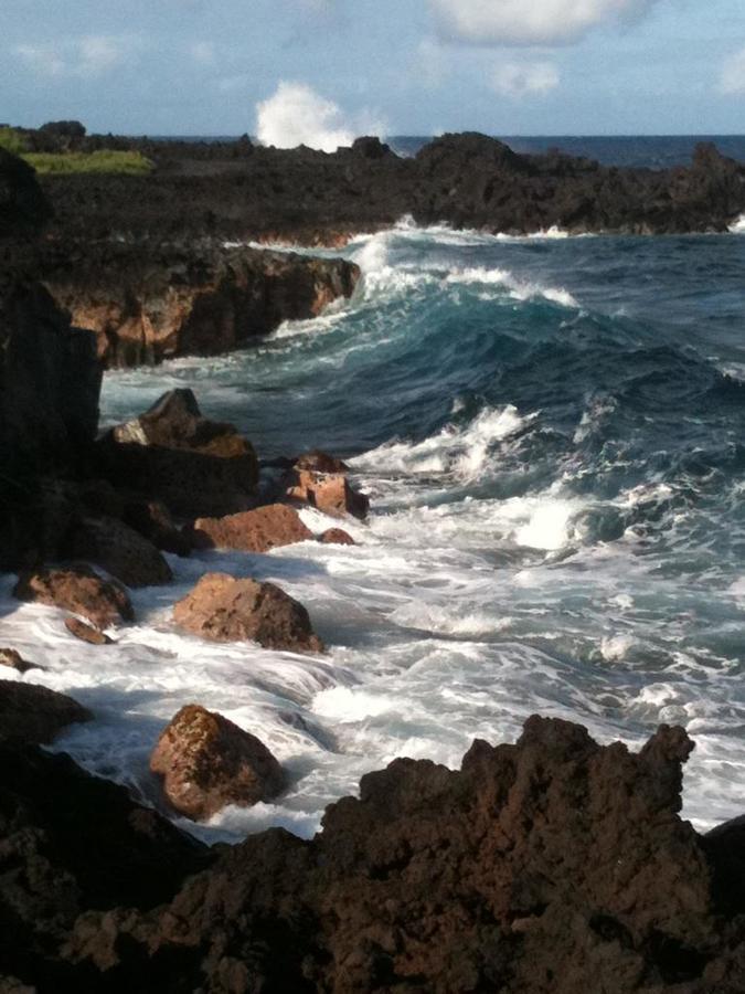 Hawaii Tropical Volcano Mansion + Sauna Хило Экстерьер фото